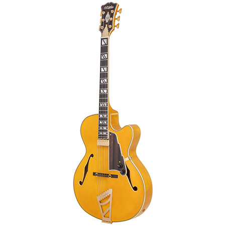 Excel 16 Amber D'Angelico