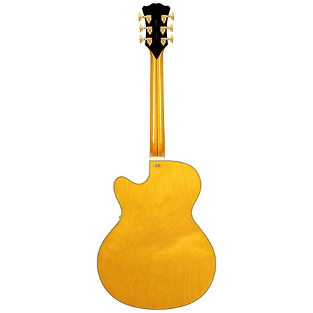 Excel 16 Amber D'Angelico