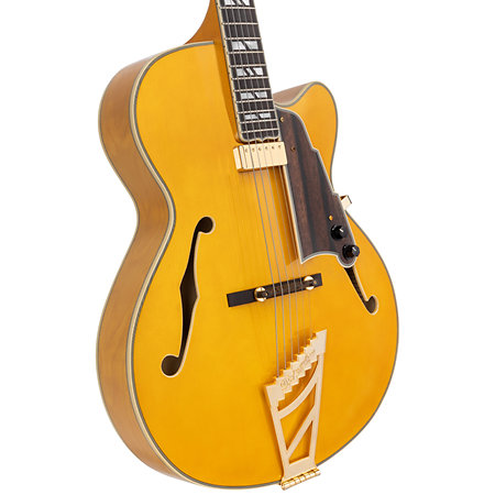 Excel 16 Amber D'Angelico