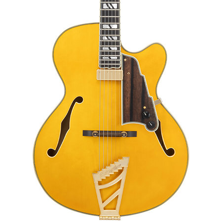 Excel 16 Amber D'Angelico