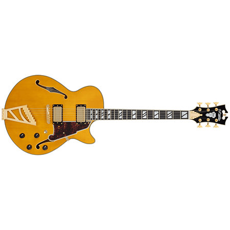 D'Angelico Excel SS Amber