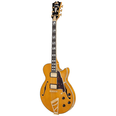 Excel SS Amber D'Angelico