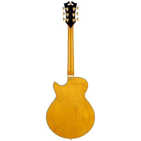 Excel SS Amber D'Angelico