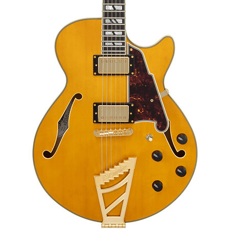 Excel SS Amber D'Angelico