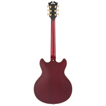 Deluxe DC Satin Trans Wine D'Angelico