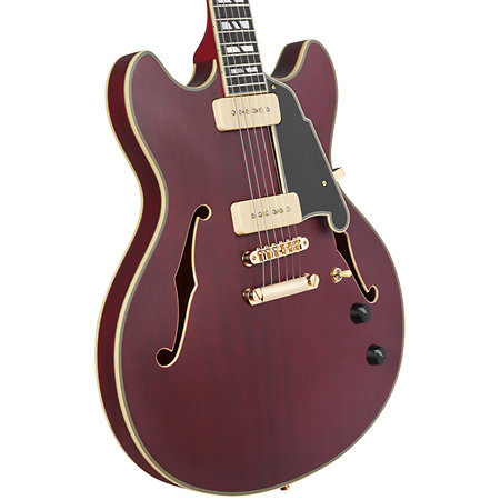 Deluxe DC Satin Trans Wine D'Angelico