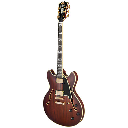 Deluxe DC Satin Brown Burst D'Angelico