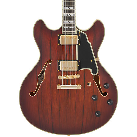 Deluxe DC Satin Brown Burst D'Angelico