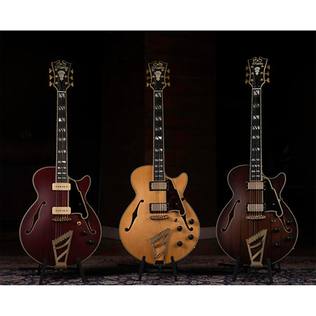 Deluxe SS Satin Trans Wine D'Angelico