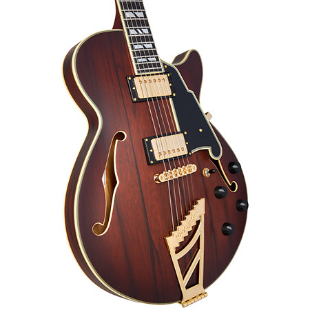 Deluxe SS Satin Brown Burst D'Angelico