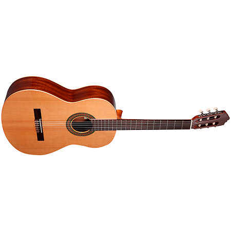 Pack N100 4/4 + Housse + Pupitre + Repose-pied + Accordeur Altamira