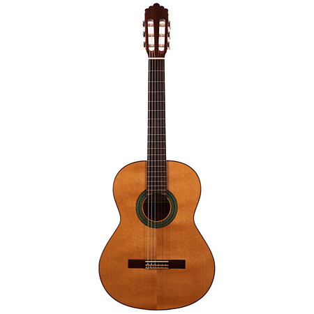 Pack N100 4/4 + Housse + Pupitre + Repose-pied + Accordeur Altamira