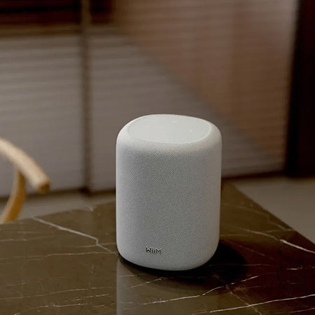 Sound Lite Blanc WiiM