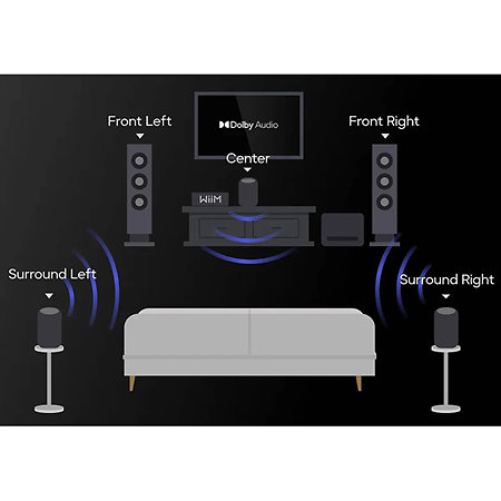 Sound Lite Noir (la paire) WiiM