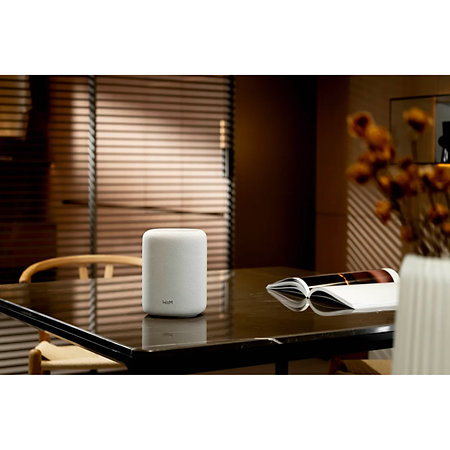 Sound Lite White (la paire) WiiM