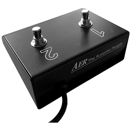 FS-2 Footswitch Pedal AER