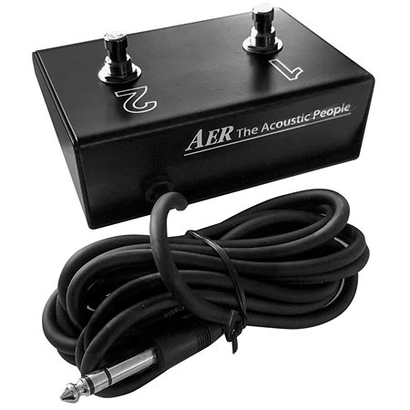 FS-2 Footswitch Pedal AER
