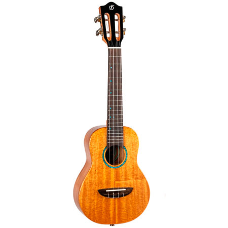Iris Tinta Concert Natural + Housse Flight