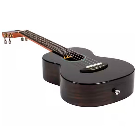 Flight Iris Tinta Concert Transparent Black + Housse