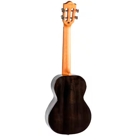 Iris Tinta Concert Transparent Black + Housse Flight