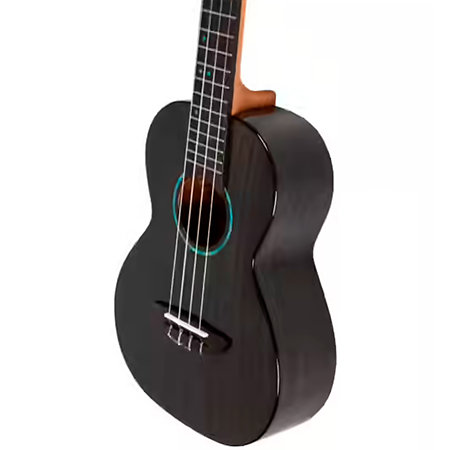 Iris Tinta Concert Transparent Black + Housse Flight