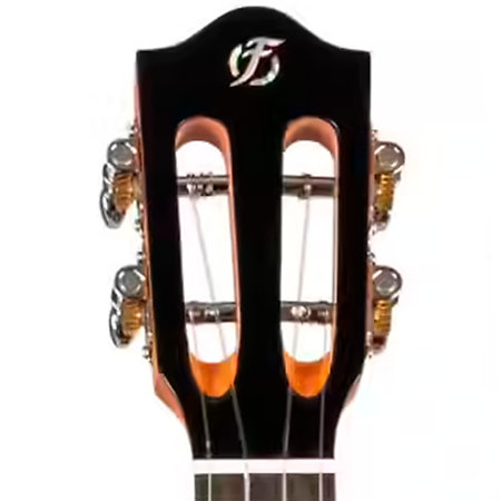 Iris Tinta Concert Transparent Black + Housse Flight