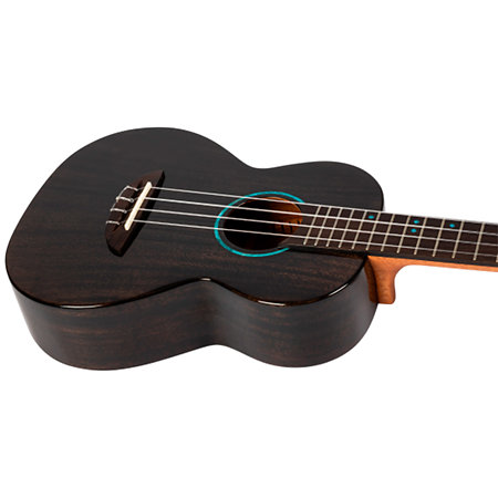 Iris Tinta Tenor Transparent Black + Housse Flight