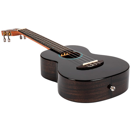 Iris Tinta Tenor Transparent Black + Housse Flight