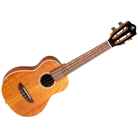 Iris Concert Calantas + Housse Flight