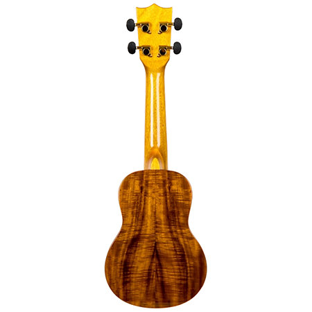 DUS445 Supernatural Glossy Acacia + Housse Flight