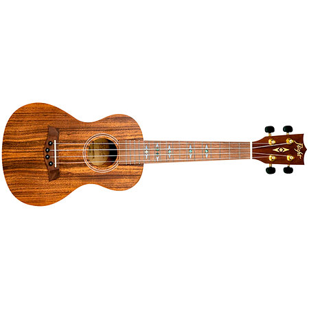 DUC440 Supernatural Acacia + Housse Flight