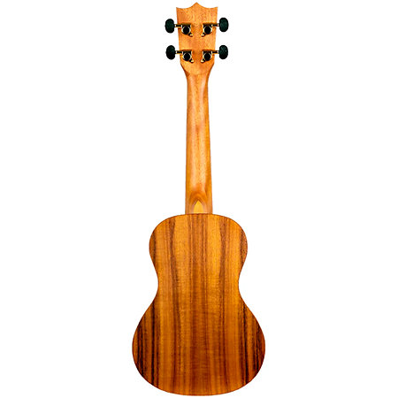 DUC440 Supernatural Acacia + Housse Flight