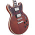 Deluxe Brighton Matte Walnut D'Angelico