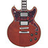 Deluxe Brighton Matte Walnut D'Angelico