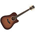 Excel Bowery Autumn Burst D'Angelico