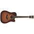 Excel Bowery Autumn Burst D'Angelico