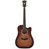 Excel Bowery Autumn Burst D'Angelico