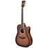 Excel Bowery Autumn Burst D'Angelico