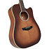 Excel Bowery Autumn Burst D'Angelico