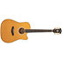 Excel Bowery Vintage Natural D'Angelico