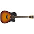 Excel Bowery Vintage Sunset D'Angelico