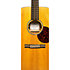 000-10E Shawn Mendes + Housse Martin Guitars
