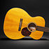 000-10E Shawn Mendes + Housse Martin Guitars