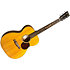 000-10E Shawn Mendes + Housse Martin Guitars