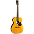 000-10E Shawn Mendes + Housse Martin Guitars
