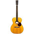 000-10E Shawn Mendes + Housse Martin Guitars