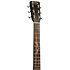 000-10E Shawn Mendes + Housse Martin Guitars