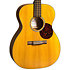 000-10E Shawn Mendes + Housse Martin Guitars