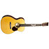 000-28 Shawn Mendes Limited Edition + Etui Martin Guitars