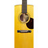 000-28 Shawn Mendes Limited Edition + Etui Martin Guitars